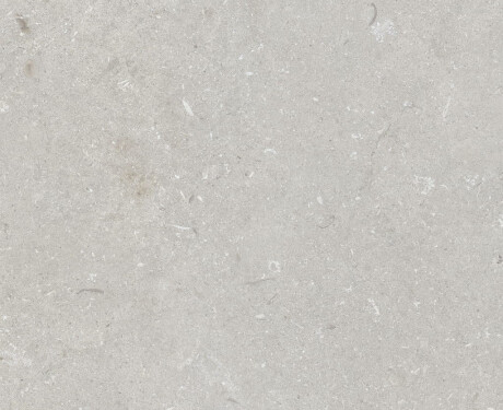 60x120 cm-es padlólap, világosszürke, matt, A4H1093 Shellstone Bianco