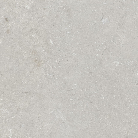 60x120 cm-es padlólap, világosszürke, matt, A4H1093 Shellstone Bianco #1