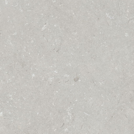 60x120 cm-es padlólap, világosszürke, matt, A4H1093 Shellstone Bianco #2