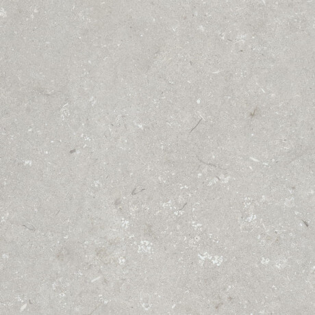 60x120 cm-es padlólap, világosszürke, matt, A4H1093 Shellstone Bianco #3