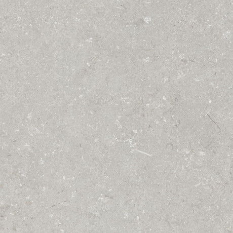 60x120 cm-es padlólap, világosszürke, matt, A4H1093 Shellstone Bianco #4