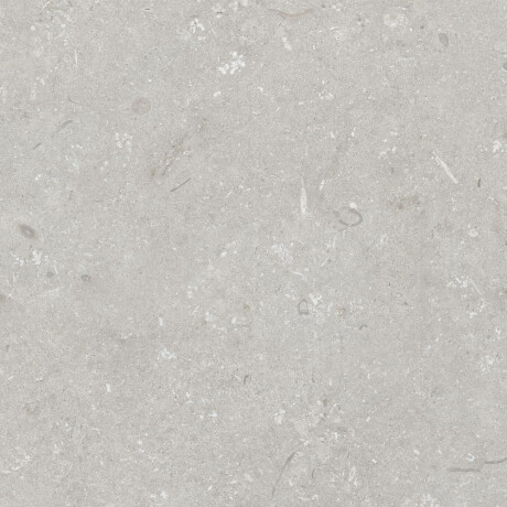 60x120 cm-es padlólap, világosszürke, matt, A4H1093 Shellstone Bianco #5