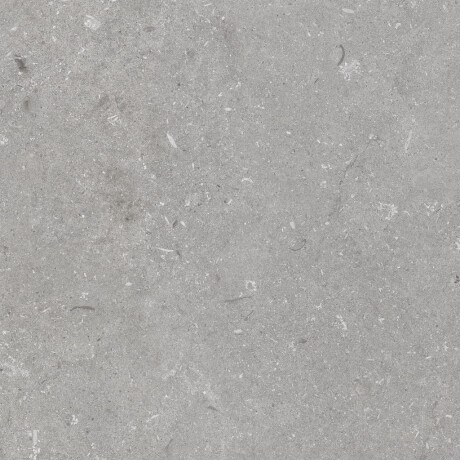 60x120 cm-es padlólap, szürke matt, A4H1096 Shellstone Grigio #4