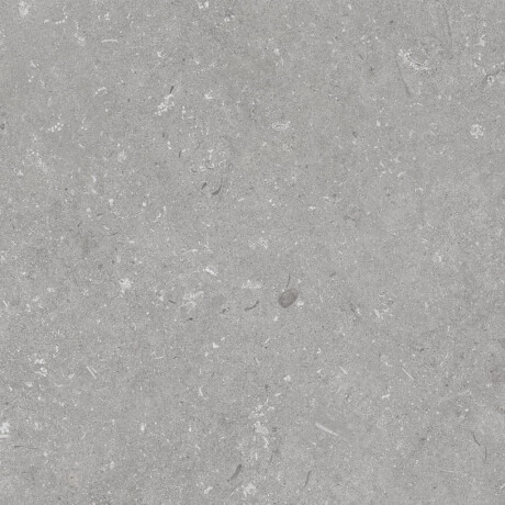60x120 cm-es padlólap, szürke matt, A4H1096 Shellstone Grigio #5