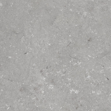 60x120 cm-es padlólap, szürke matt, A4H1096 Shellstone Grigio #6