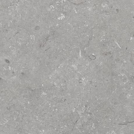 60x120 cm-es padlólap, szürke matt, A4H1096 Shellstone Grigio #8