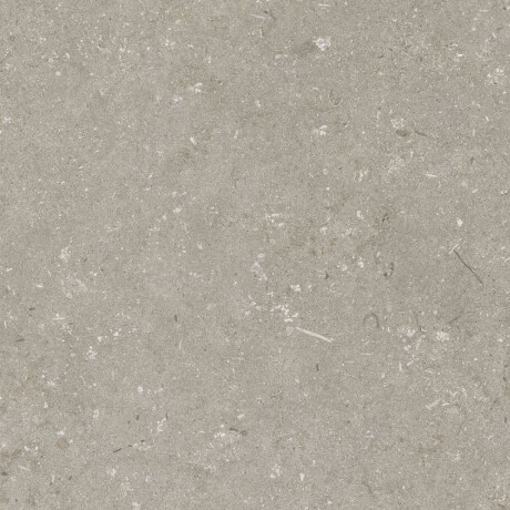 60x120 cm-es padlólap, taupe, matt, A4H1102 Shellstone Taupe #4