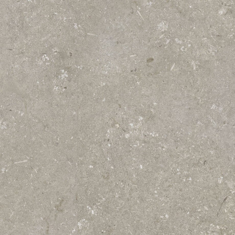 60x120 cm-es padlólap, taupe, matt, A4H1102 Shellstone Taupe #5