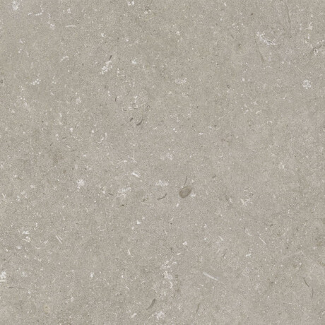 60x120 cm-es padlólap, taupe, matt, A4H1102 Shellstone Taupe #7